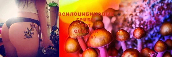 трава Липки