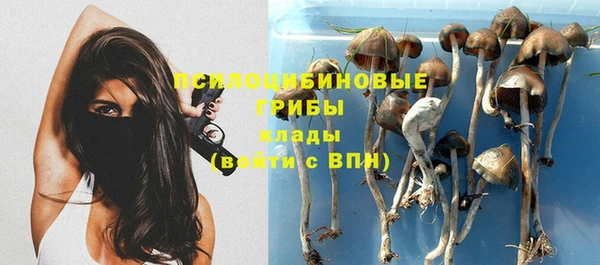 а пвп мука Лихославль