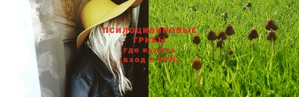 бошки Лиски